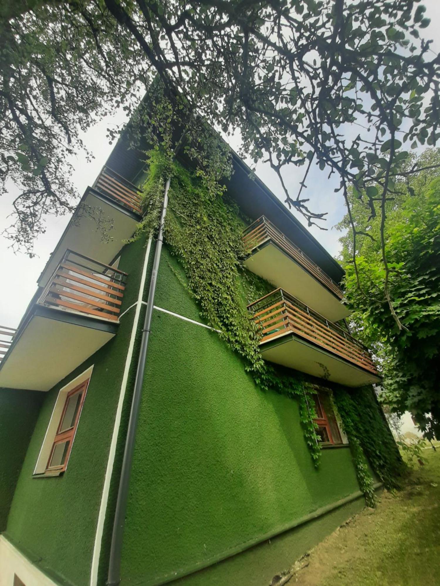 Willa Hono Lulu Busko-Zdroj Bagian luar foto